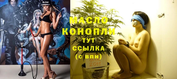 твердый Каменка