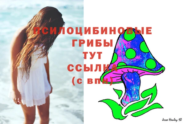 твердый Каменка