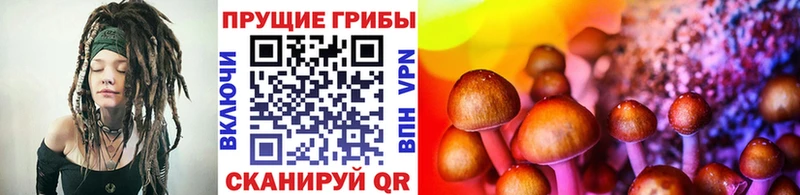 Галлюциногенные грибы Psilocybine cubensis  Купить где  Ижевск 