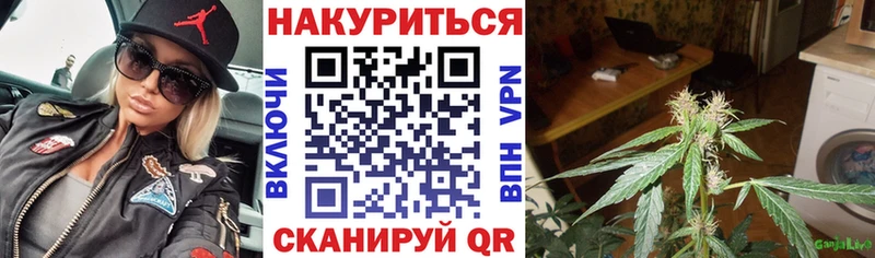 Конопля LSD WEED  Купить закладки  Ижевск 